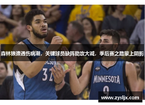 森林狼遭遇伤病潮，关键球员缺阵助攻大减，季后赛之路蒙上阴影