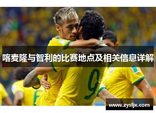 喀麦隆与智利的比赛地点及相关信息详解